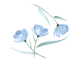 Delicate blue flowers. Hand drawn watercolor illustration.
