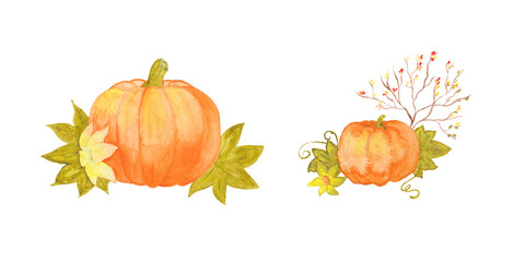 A set of 2 orange pumpkins. Watercolor illustration. Hand painted.