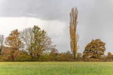 Rainy weather in the countryside in autumn.