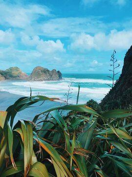 Piha beach, Auckland, North Island, New Zealand