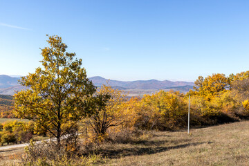 Fototapeta premium Autumn landscape of Cherna Gora (Monte Negro) mountain, Bulgaria