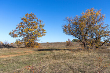 Autumn landscape of Cherna Gora (Monte Negro) mountain, Bulgaria