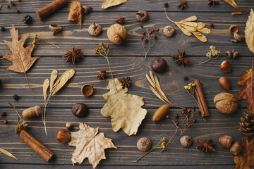 Autumn leaves, berries, nuts, anise, acorns, pine cones on rustic dark wood. Hello autumn and Happy Thanksgiving.Autumn background flat lay.  Autumnal pattern