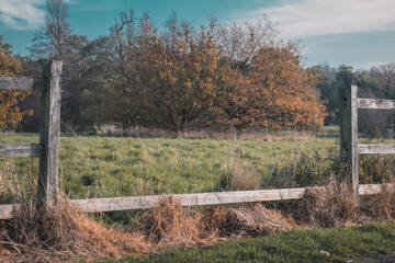 Broken wooden fence in autumn field