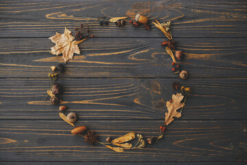 Autumn wreath flat lay. Autumn leaves, berries, nuts, anise, acorns in circle on dark wood. Rustic autumnal wreath with dried herbs. Happy Thanksgiving and Hello autumn