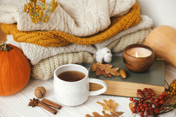 Hello autumn, cozy slow living. Pumpkin, cup of tea, cozy sweaters, autumn leaves, burning candle and vintage book on white wooden background in room. Happy Thanksgiving