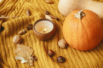 Hello fall season. Stylish yellow knitted sweater with burning candle, pumpkins, autumn leaves and nuts. Cozy autumn slow living. Happy Thanksgiving and Halloween.