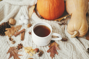 Warm cup of tea on stylish knitted sweater with pumpkins, autumn leaves and nuts, burning candle. Cozy autumn slow living. Happy Thanksgiving and Halloween. Hello fall season