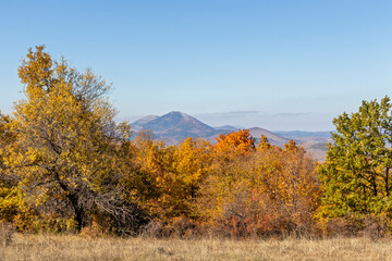 Autumn landscape of Cherna Gora (Monte Negro) mountain, Bulgaria