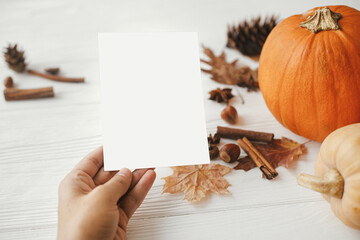 Hand holding blank card on background of pumpkin, autumn leaves, anise, acorns on white wood....