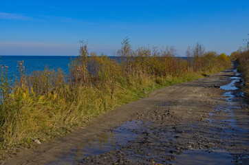 great colors of a road after shower rain
