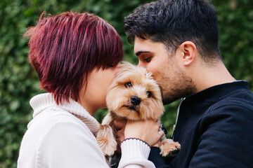 Young 20s loving couple, giving a kiss to their pet Yorkshire terrier dog on Valentine's Day. concept of family, pet care, adoption of animals and love. - obrazy, fototapety, plakaty
