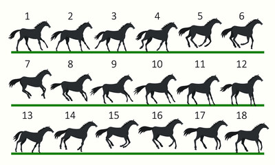 Horse running animation. Eighteen key positions of horse running. Vector illustration isolated on white background.
