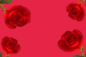 Red Rose Collage Border Fram Space for Text Red Background