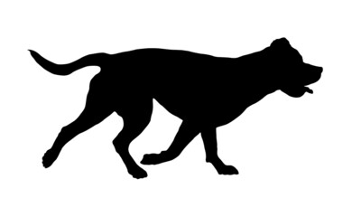 Black dog silhouette. Running italian mastiff. Pet animals. Isolated on a white background. Vector illustration.