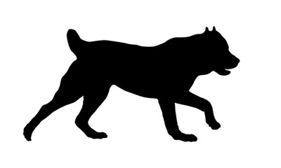 Running central asian shepherd dog puppy. Black dog silhouette. Pet animals. Isolated on a white background. Vector illustration.