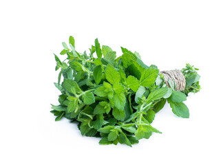 Bunch of fresh mint isolated on white