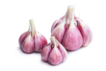Fresh garlic bulbs isolated on white