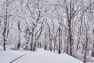 Fototapeta premium Pedestrian road in winter snow-covered city park. Winter landscape on cloudy day. Terrencourt route