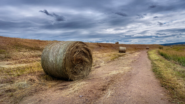 Bales of hay on a cloudy summer day, along a dirt road in the Annapolis Valley area of Nova Scotia, Canada.