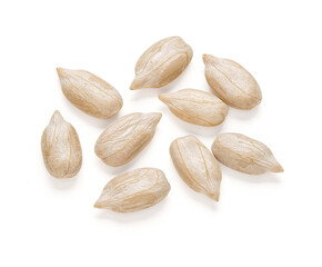 Macro sunflower seeds on white. Top view. Clipping path.