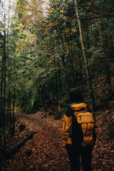 Naklejka premium Otoño en el Parque Nacional de Ordesa y Monte Perdido