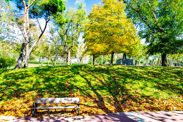 Autumn landscape in the Parque Norte de Madrid with a carpet of dry brown leaves, in Spain. Europe.