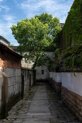 Fototapeta na wymiar Chinese old stone slab street with trees