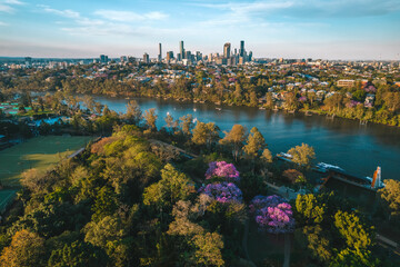 Sunset aerial shot of Brisbane in jacaranda season