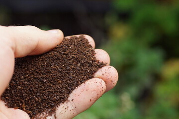 Hand holding coffee dregs for fertilizing garden plants