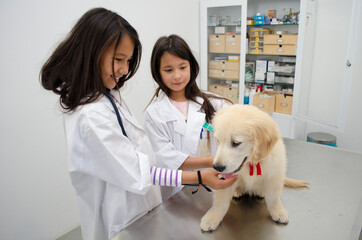 Two pretty little girls pretending to be vets treating a puppy Golden retriever.