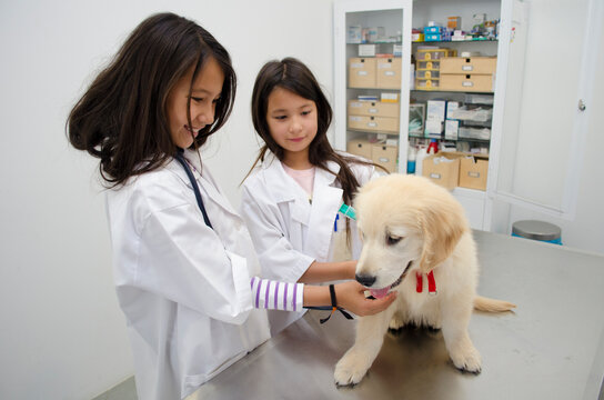 Two Pretty Little Girls Pretending To Be Vets Treating A Puppy Golden Retriever.