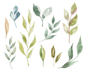 Watercolor dry green, yellow, mint wild leaves set. Isolated on white background. Hand drawn floral illustrations. For wallpaper, postcard, print, invitations, patterns, poster, packaging, linens etc.