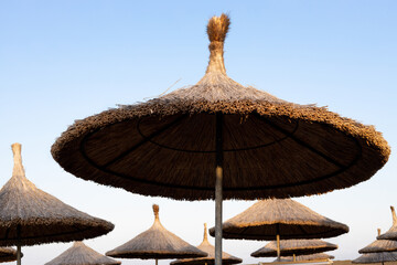 Beach umbrellas made of twigs on a blue sky background.