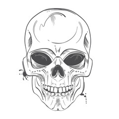 Vector abstract illustration of a skull. Hand graphics