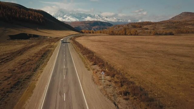 Altai Republic, Siberia, Russia. Rare trees, a highway in an endless field and steppe and huge snowy mountains in the background. Aerial view of the beautiful autumn wildlife of the Altai Territory