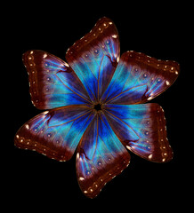 tropical butterfly wings ornament. bright, colorful flower from the wings of morpho butterflies....