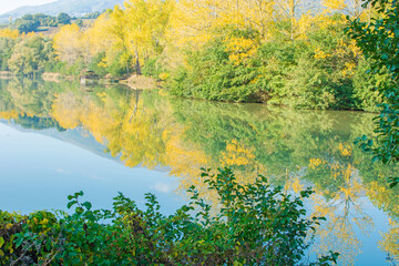 A pond in Samsun/Turkey. A very beautiful autumn landscape. Reflection, mountain, sky and colorful trees.