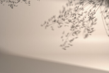 Modern natural blurry background with natural soft light and plant leaves shadows. 3d illustration for brand identity banner with bio, beauty, Cruelty Free concepts. Perfect for product presentation