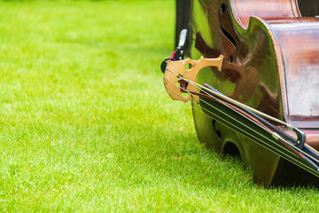 Contrabass on a background of green grass. The musical instrument consists of a soundboard with two holes, a neck with a fretless fingerboard and a headstock in the characteristic shape of a snail. - 467014418