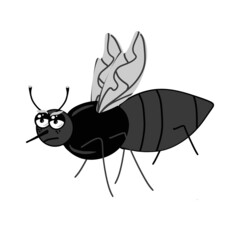 Illustration of the mosquito insect