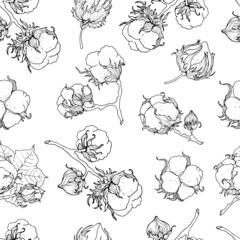 Cotton flower. Seamless monochrome pattern on a white background. Hand drawn, vector illustration.