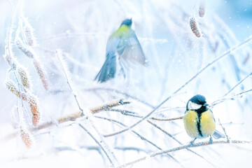 Little tits in a fairy-tale snowy forest. Christmas image. Winter wonderland.