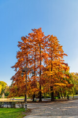 Naklejka premium Danube Park or (Serbian: Dunavski Park) is an urban park in the downtown of Novi Sad. 