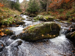 jezerní potok stream flowing froim the laka lake in šumava protected area water banks in natural...