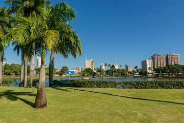 Fototapeta na wymiar Joao Pessoa, Paraiba, Brazil on April 2, 2021. View of the lagoon of Parque Solon de Lucena located in the city center.