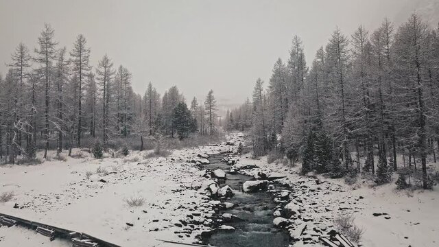 Storm, snowfall in the huge glacier of Mount Belukha, the valley of the Aktru River, the Altai Mountains. Cloudy weather, stone in the snow, storm, wildlife, winter forest, frozen mountain river in