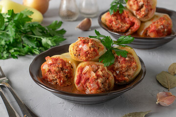 Bell Pepper Stuffed with rice and minced beef in tomato sauce in a plate on light gray background, Closeup