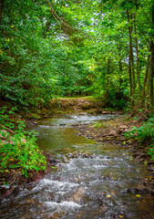 Photo of mountain river flowing through the green forest