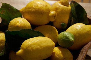 lemons with leaves lie on a wooden table on a bright sunny day. Hard shadows. plants nearby
